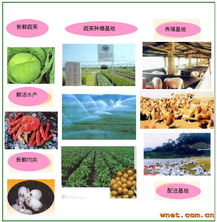 东莞市恒源膳食管理服务