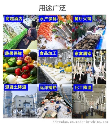 商用片冰机 500公斤片冰机